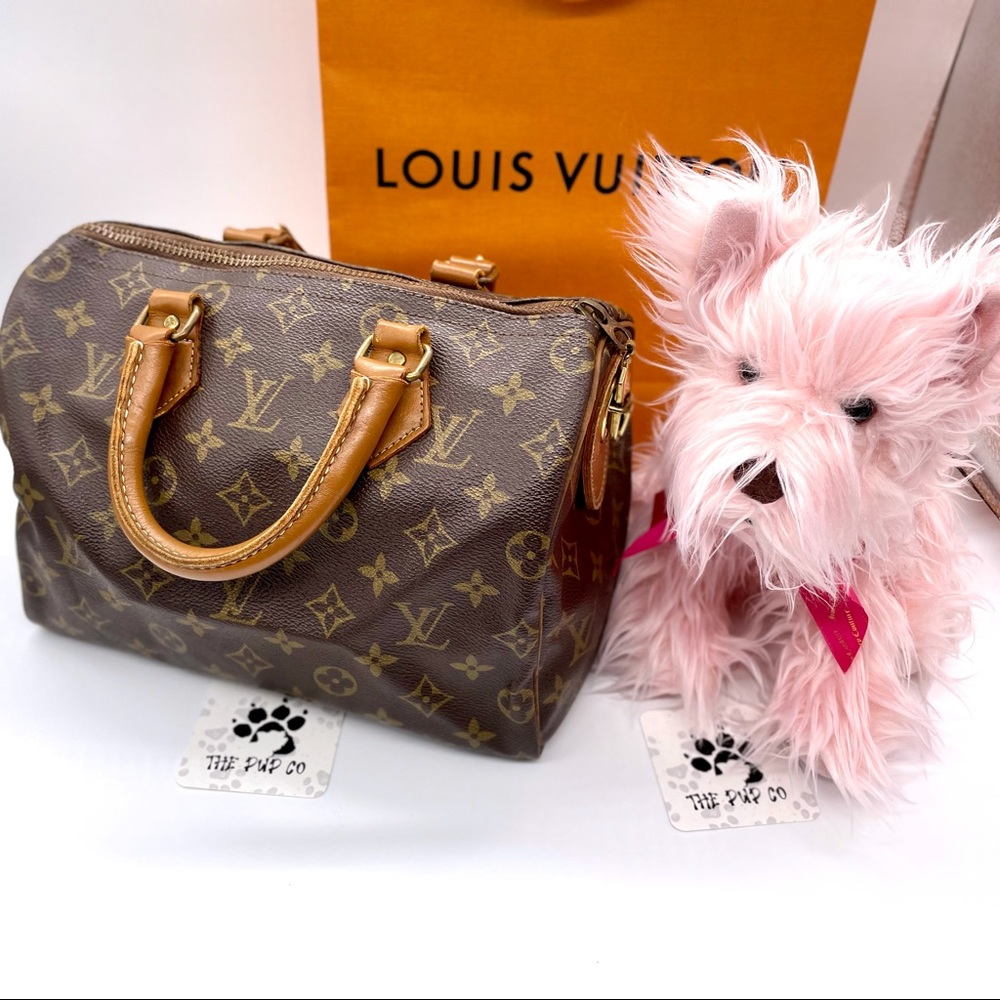 Louis Vuitton Bag